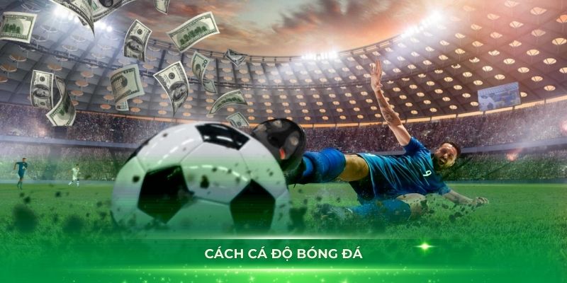 cách cá độ bóng đá cùng i9bet