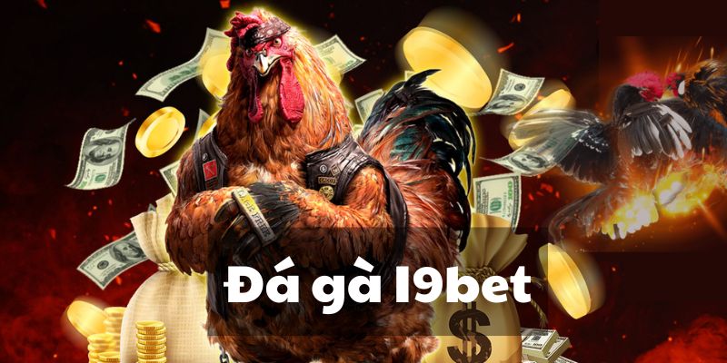 Sảnh đá gà I9BET cực hấp dẫn