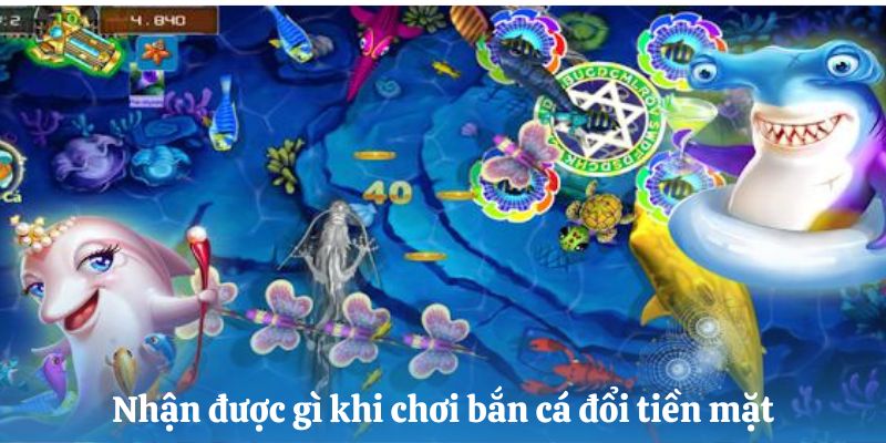 Nhận được gì khi chơi game bắn cá đổi tiền mặt 