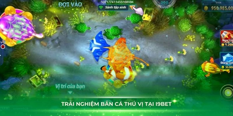 Trải nghiệm bắn cá thú vị tại i9bet